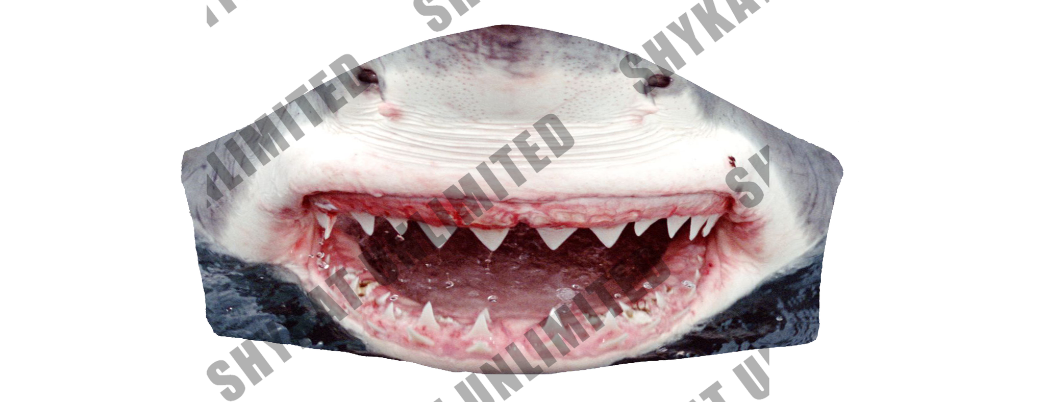 Fashion Face Covers-Shark